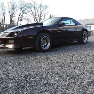 Meet your Posher, Dylan